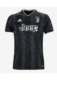 Juventus Voetbaltruitje Uit tenue 2022-23 Korte Mouw